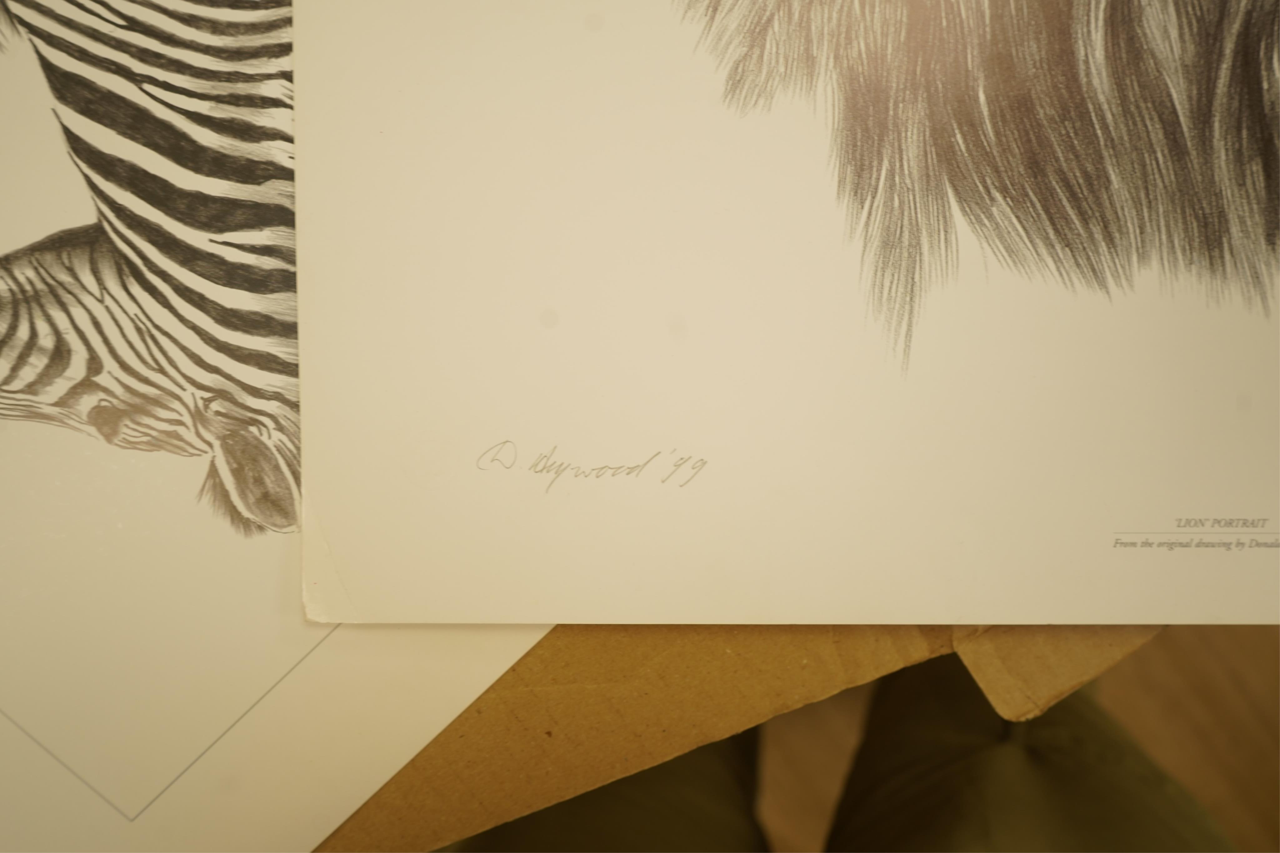 Donald Heywood (b.1944), eleven prints, each signed in pencil to include: ‘Leopard drinking’, ‘Lion portrait’ and ‘Lion cub’, unframed, largest 68 x 48cm